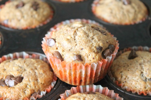 Soaked Chocolate Chip Muffins